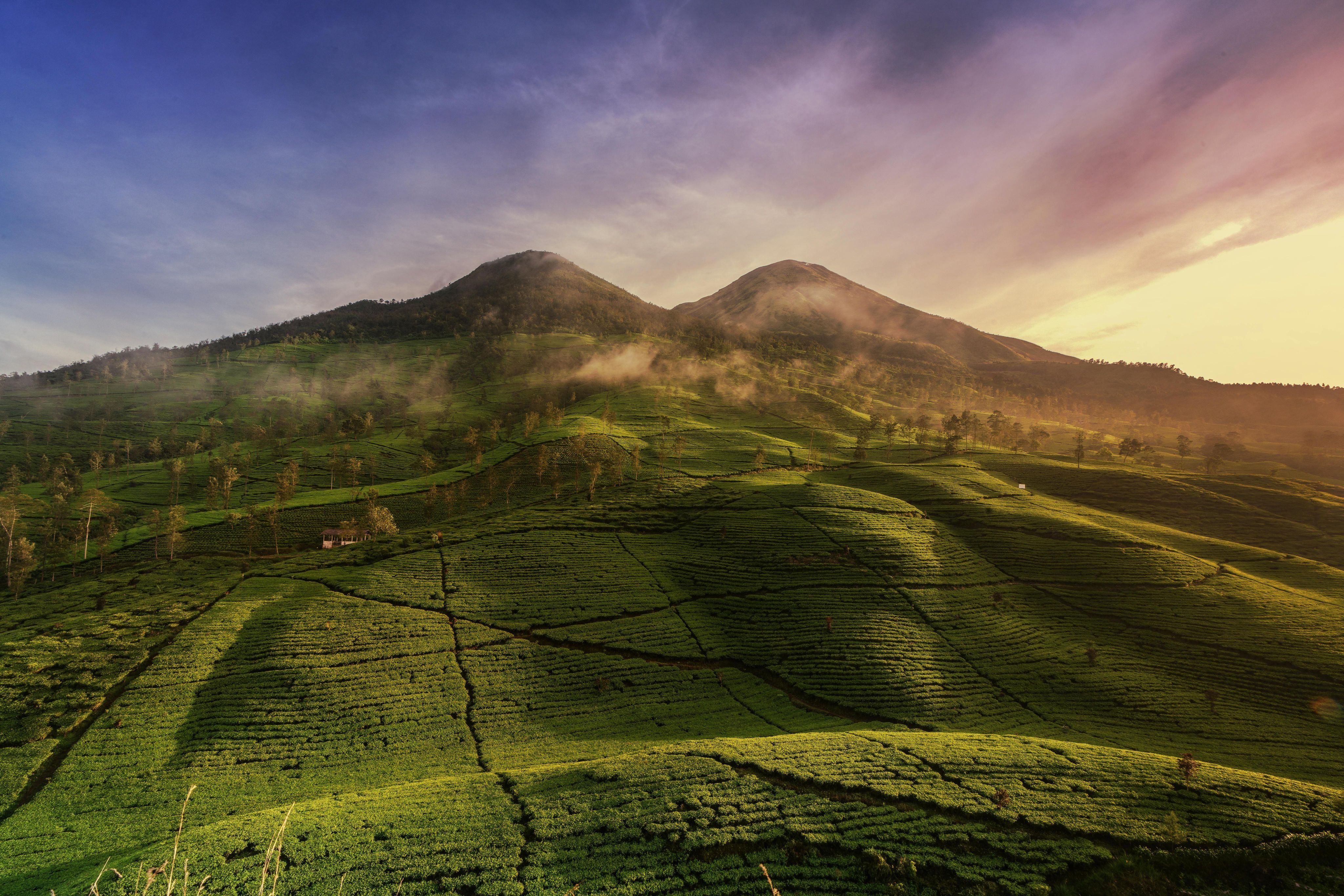 Lush green terraced hills with mist rising and twin peaks in the background at sunrise.