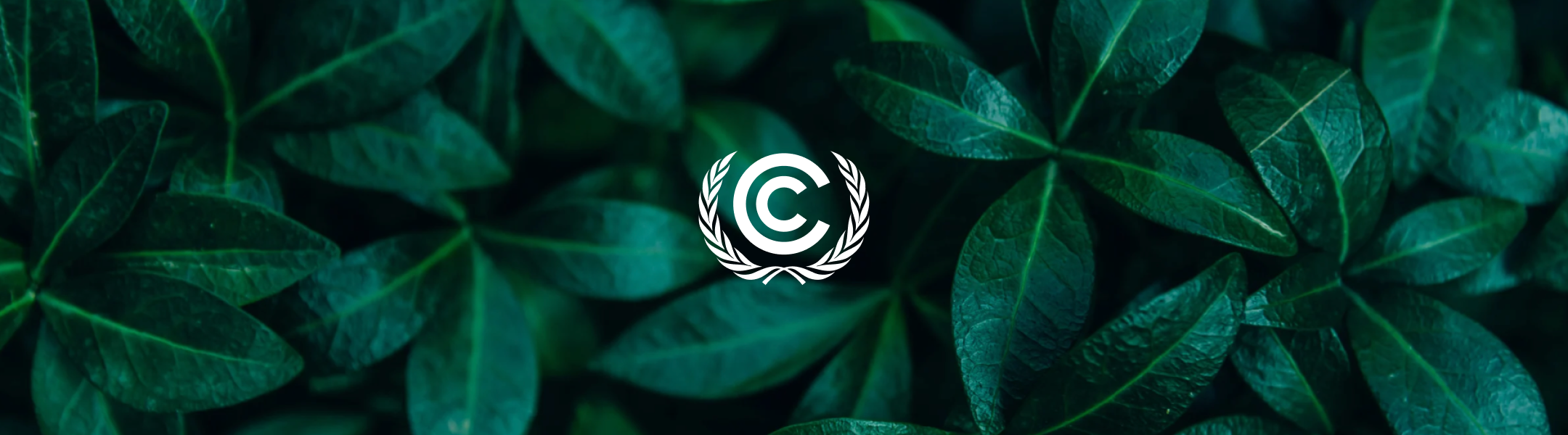 article 6 of paris agreement