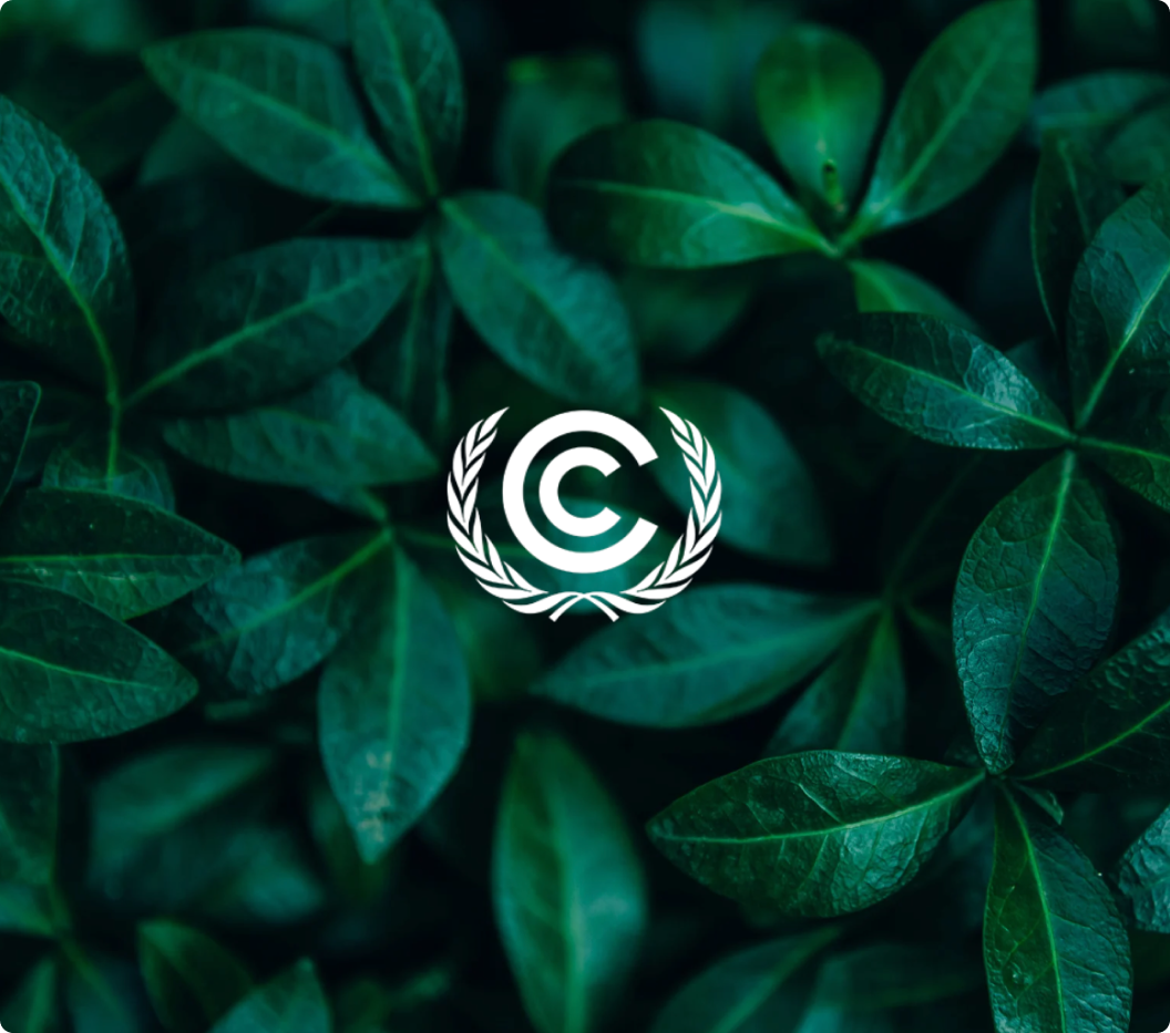 article 6 of paris agreement