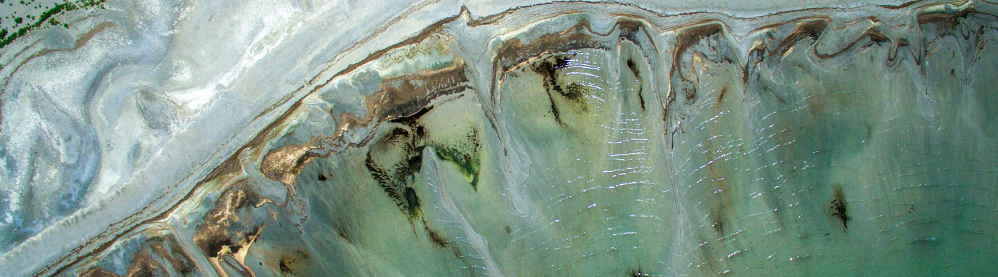 Validation and Verification Body