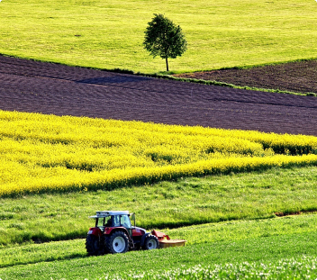 Value chain verification