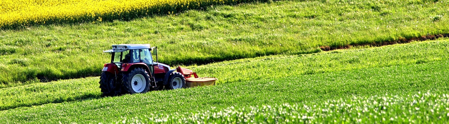 Value chain verification