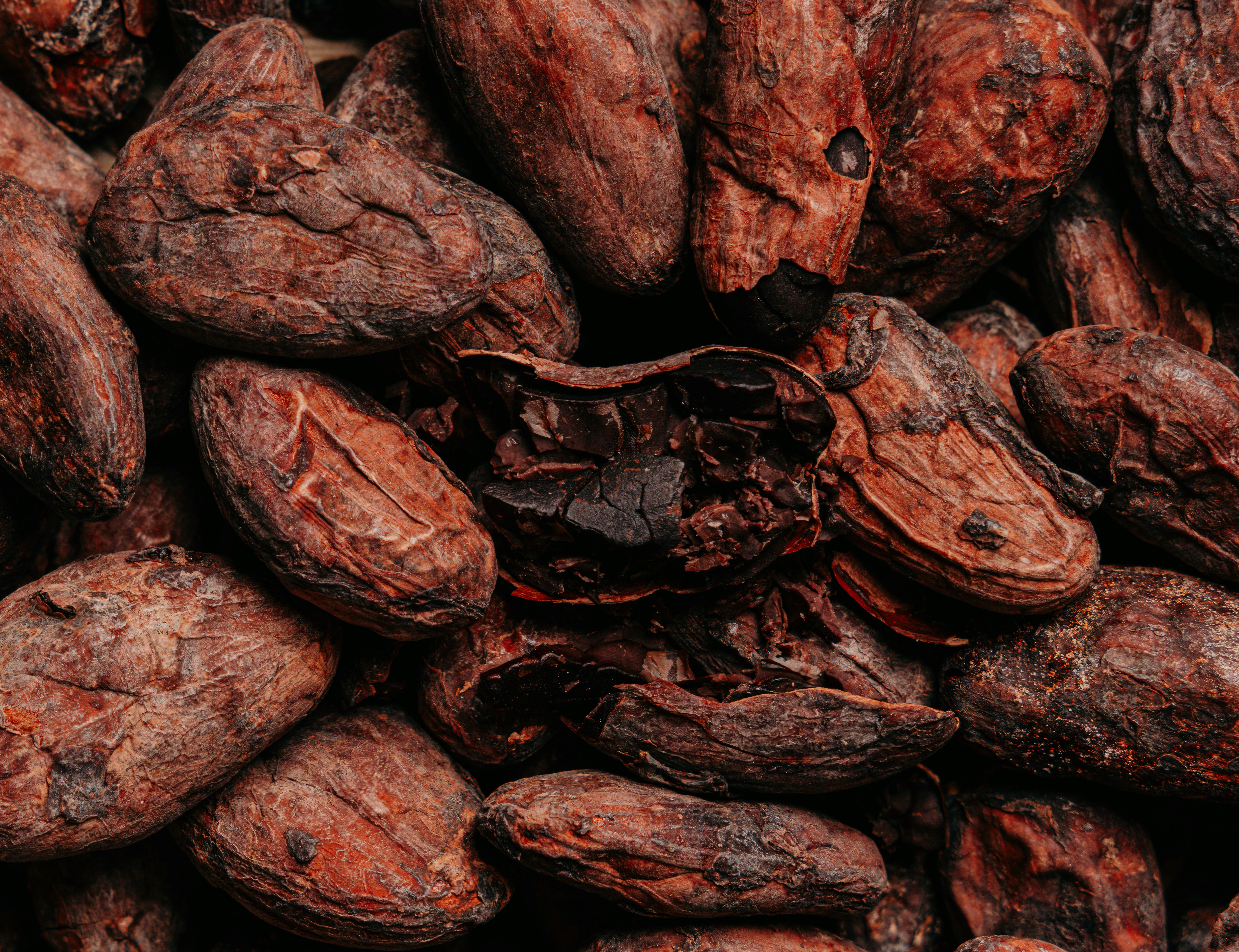 Cocoa beans