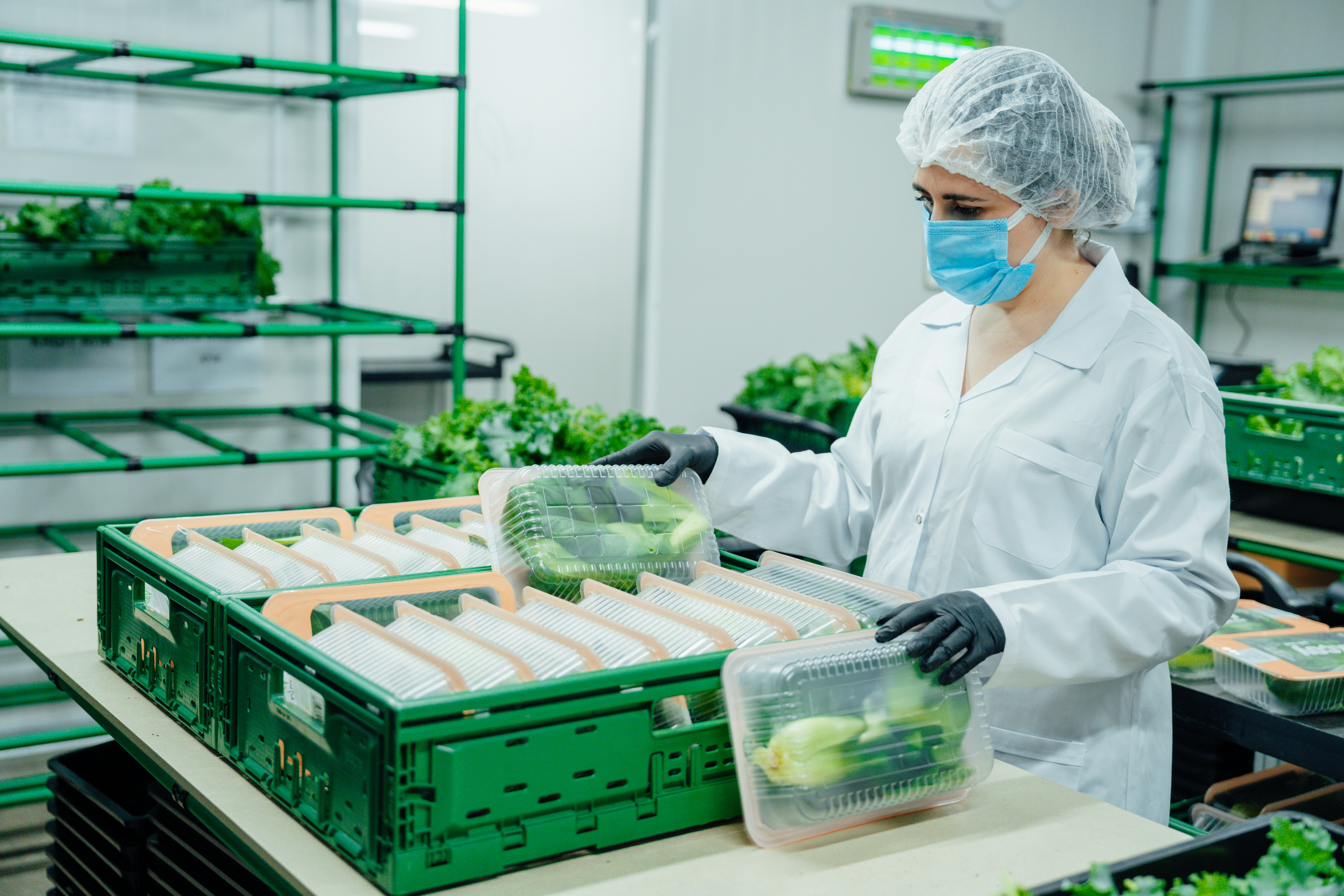Worker selecting fresh vegetables in a factory, representing supply chain emissions in retail and food systems