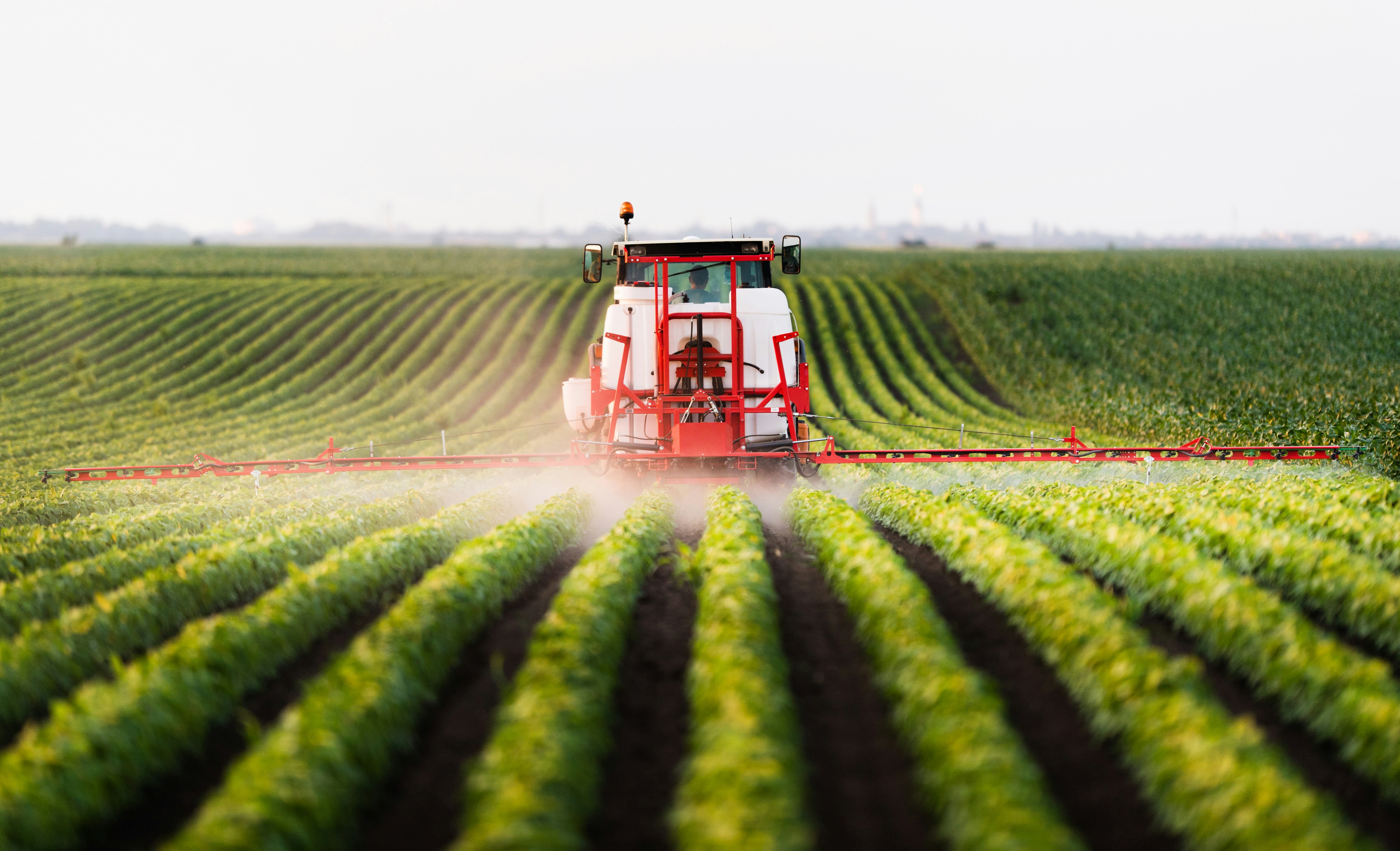 Fertiliser efficiency