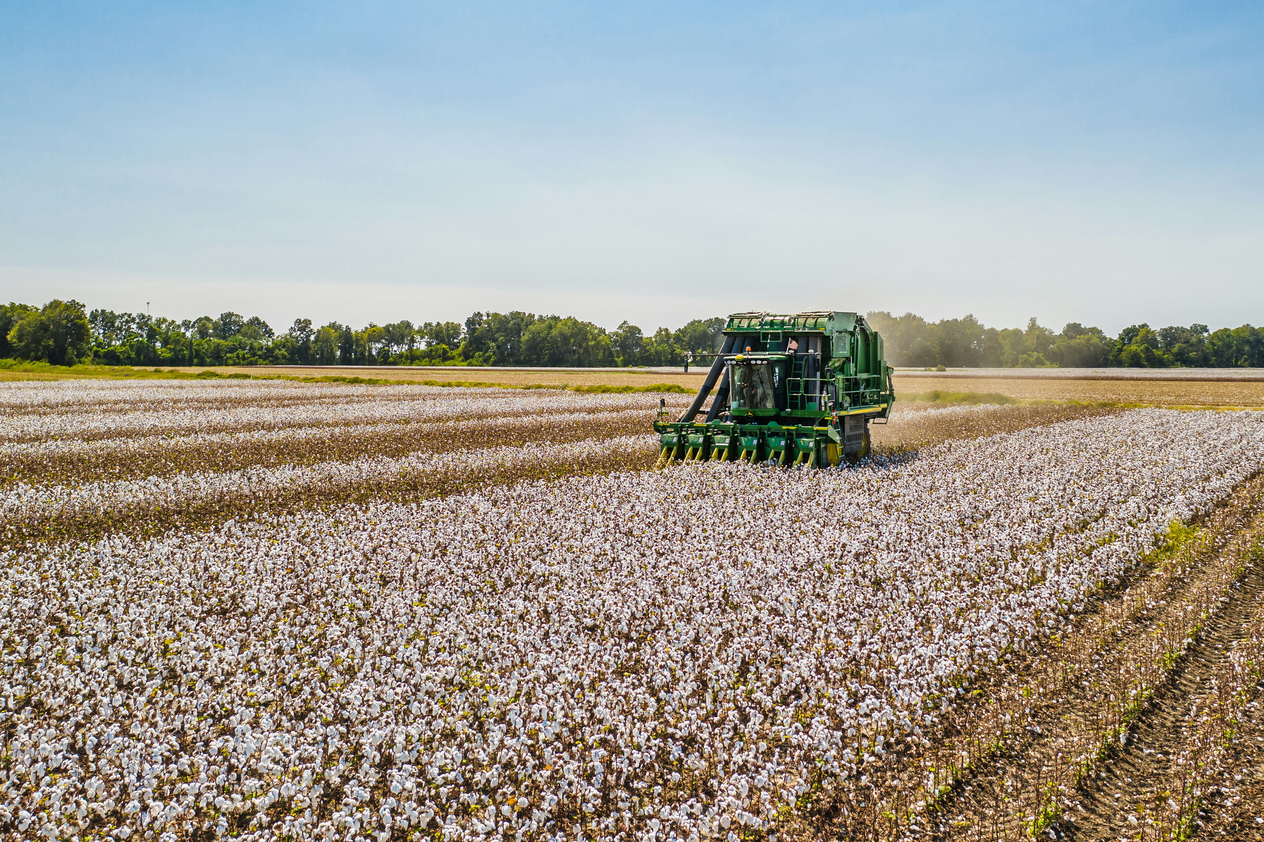 Sustainable cotton farming