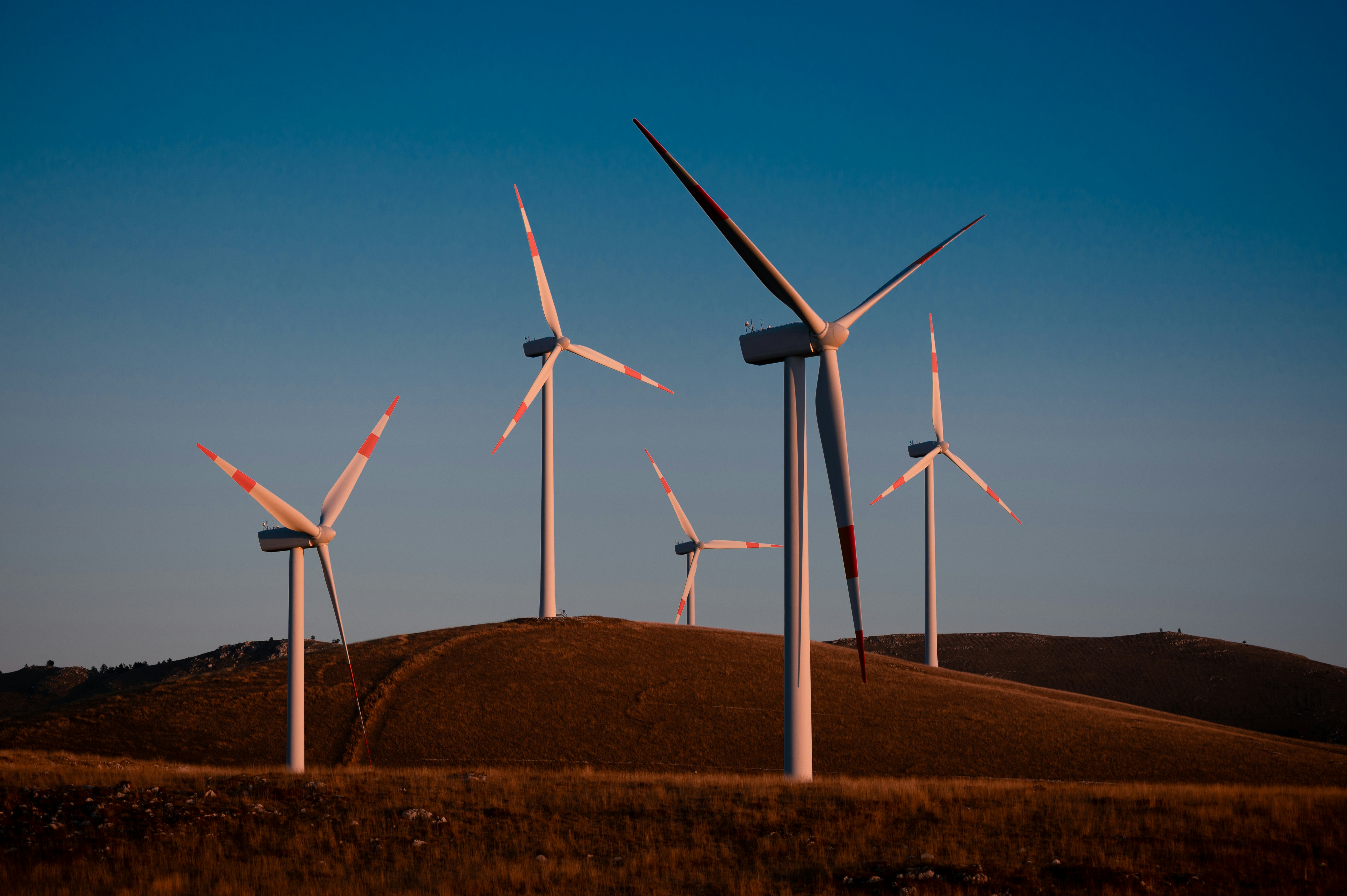 Wind mills on a field