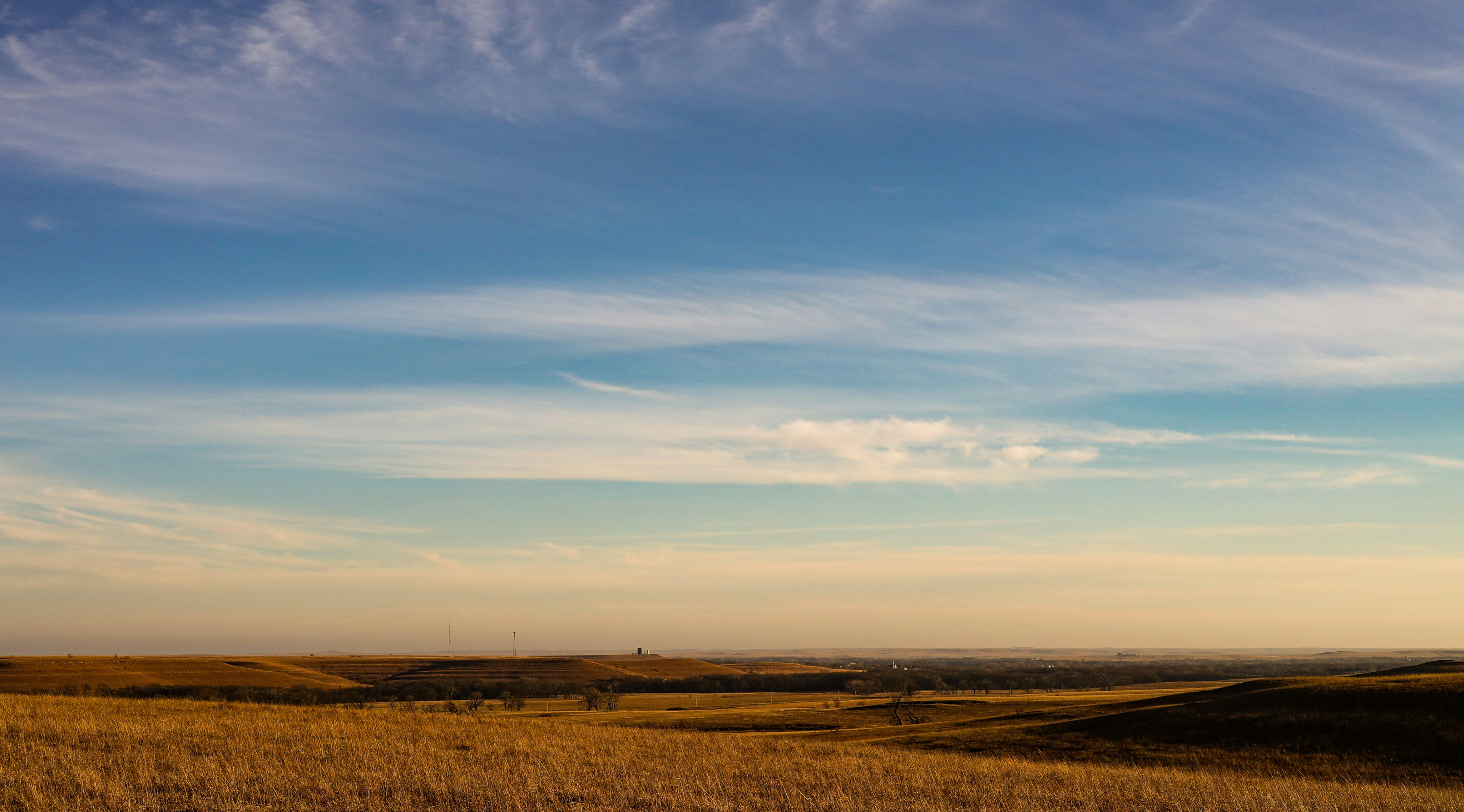Field at Sunrise