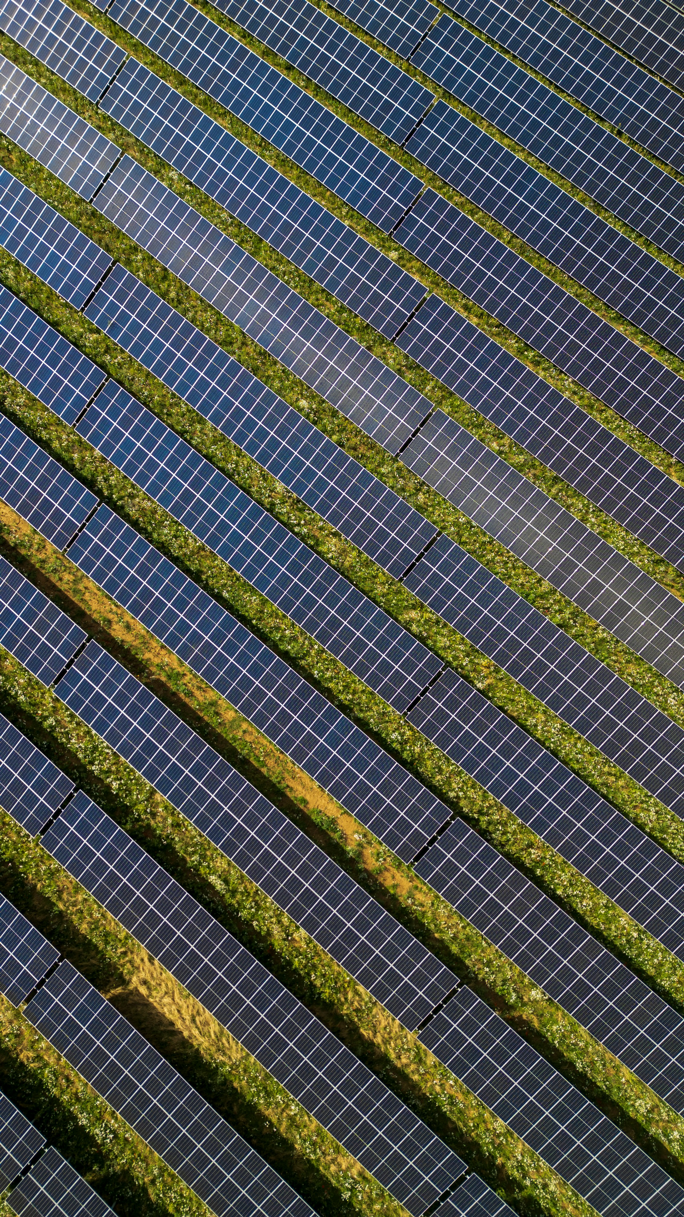 Solar panels on a geen field