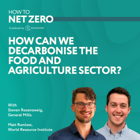 Hot To Zero Podcast thumbnail for episode: HOW TO CLEAN UP THE CARBON MARKET WITH EXPERTS AT INNOVATE4CLIMATE