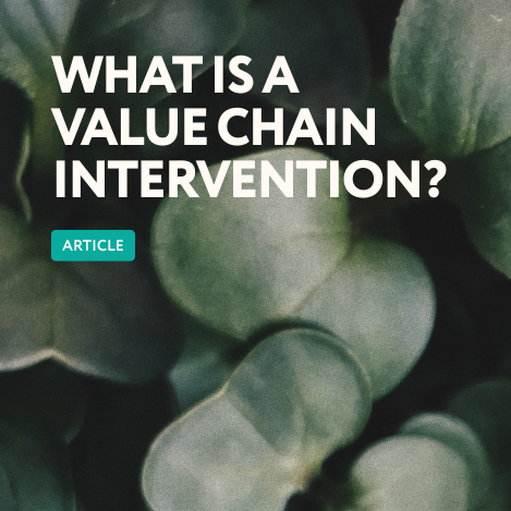 What Is a Value Chain Intervention?