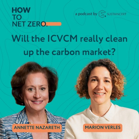 Hot To Zero Podcast thumbnail for episode: WILL THE ICVCM REALLY CLEAN UP THE CARBON MARKET?